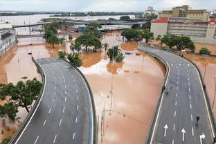 gà di đá về sưng đầu